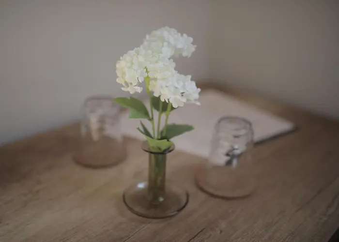 Bed & Breakfast Magtar